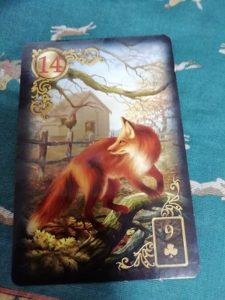 #14　狐　♧9　てんぷら