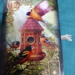 #12　鳥　♢7　うどん