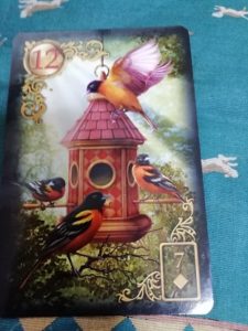 #12　鳥　♢7　うどん